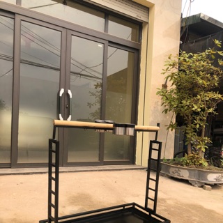 cầu đứng cho vẹt