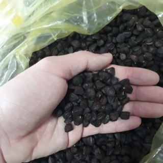 Hạt dổi nếp loại 1 Tây Bắc