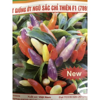 Hạt giống Ớt Ngũ Sắc 🌱