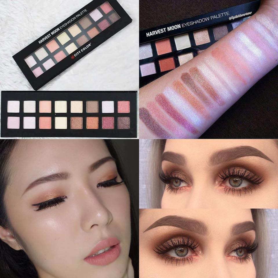 Bảng 16 ô city Color harvest moon Eyeshadow Palette