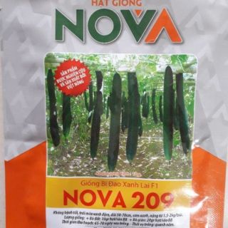 Hạt giống bí đao xanh nova 209