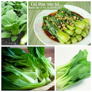 Hạt Giống Rau Cải Thìa/ Cải Chip (300 Hạt) - Giòn, Ngọt, Bổ Dưỡng - MUA 3 TẶNG 1 CÙNG LOẠI