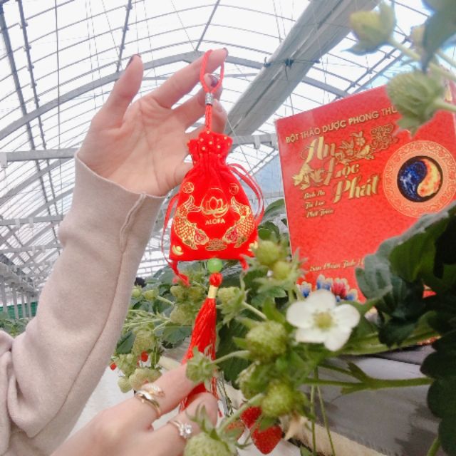 Bột phong thủy Alofa