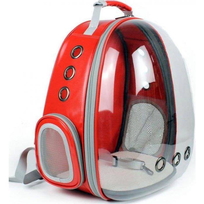 BALO PHI HÀNH GIA TRONG SUỐT