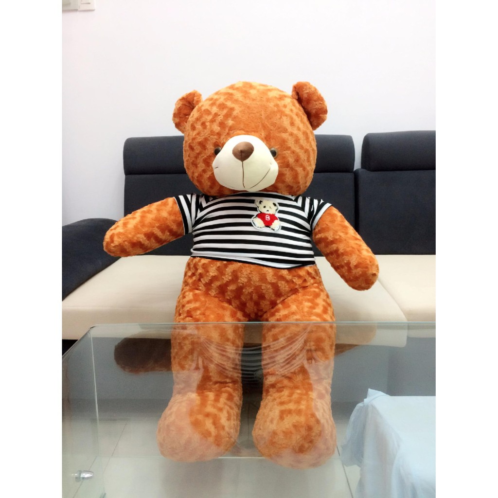 Gấu Teddy 80cm