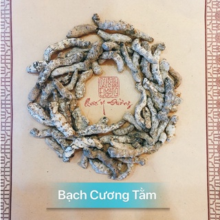   100gr Bạch Cương Tàm Tứ Xuyên (Giá ưu đãi khi mua từ 500gr trở lên)