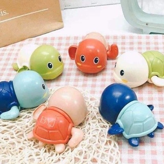 Rùa Mini (Tiểu Quy) Chạy Cót Thả Bồn Tắm