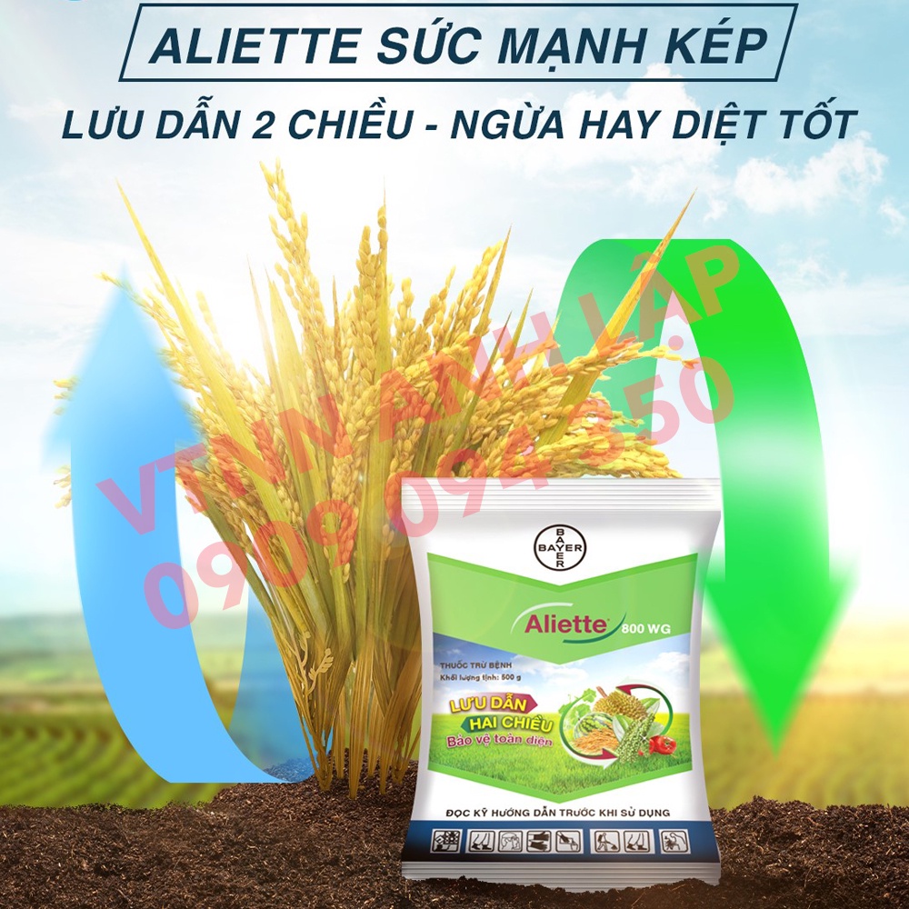 Thuốc trừ nấm bệnh cao cấp Aliette 800WG 100g - Bayer
