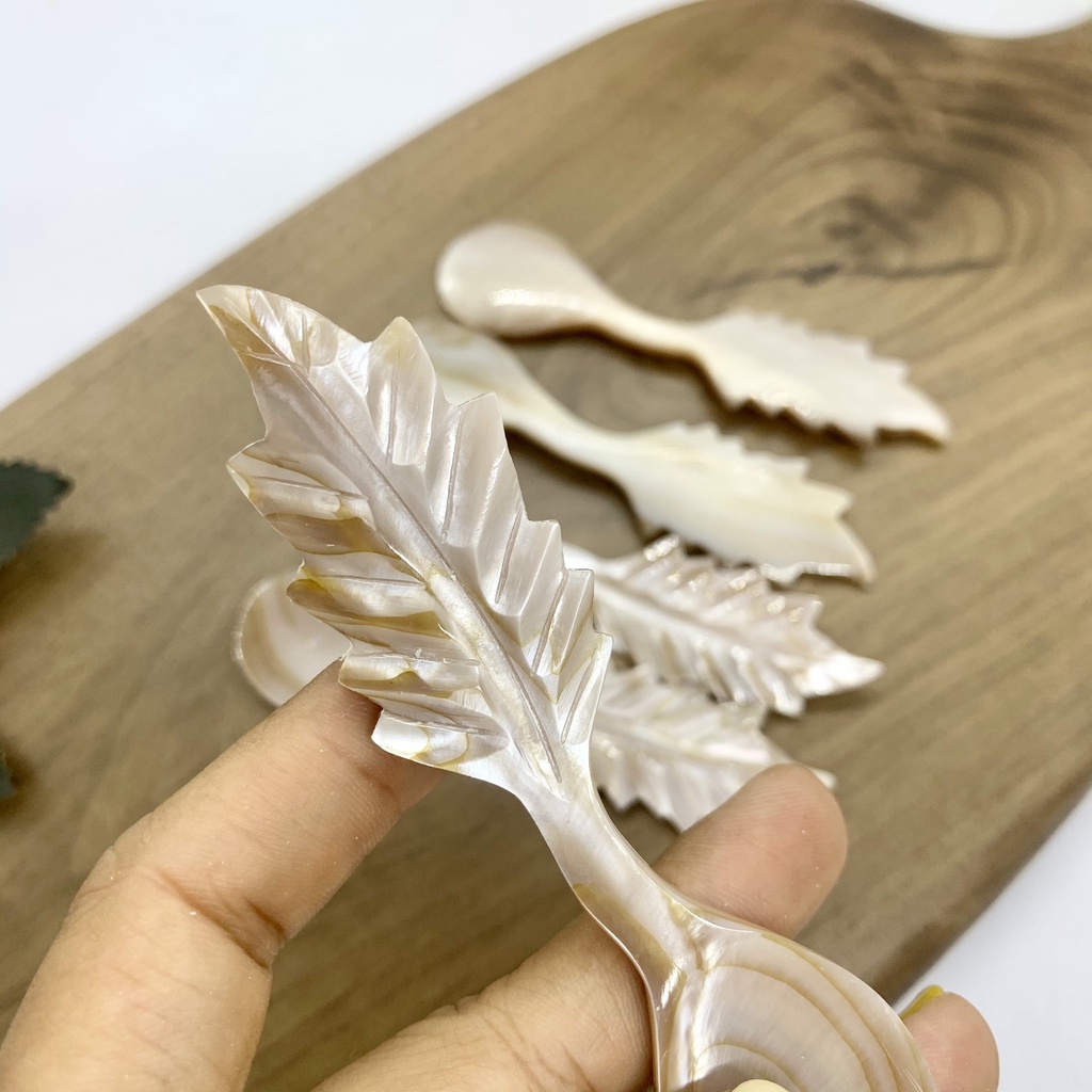Thìa vỏ xà cừ màu nâu - ăn kem/xúc gia vị/thìa cafe - an toàn cho sức khỏe (CTH738N)