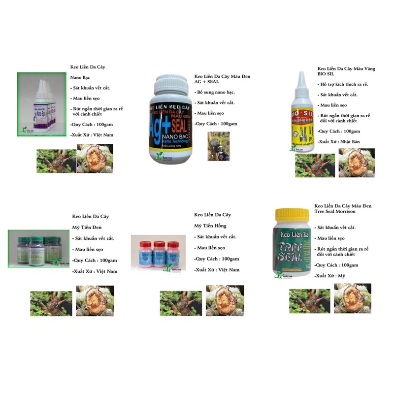 Keo liền da cây đậm đặc - hỗ trợ mau ra rễ vết cắt - diệt khuẩn mau liền da cây - keo nano