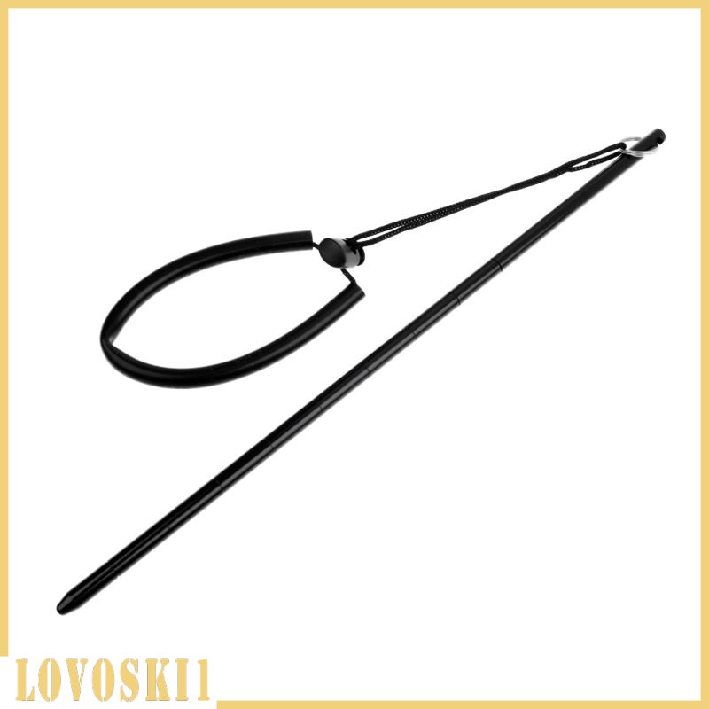 Gậy chỉ bằng hợp kim nhôm siêu nhẹ có dây đeo cổ tay 34cm/ 13.4" | BigBuy360 - bigbuy360.vn