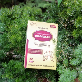 Viên uống bổ phổi Bofomax Traphaco giúp giảm ho, khản tiếng, phục hồi phổi - Hộp 30 viên