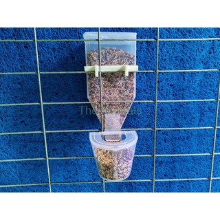 Máng ăn tự động cho gà, vịt, chim cảnh