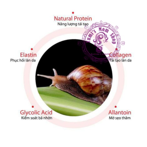 (Mini Size) Tinh Chất Some By Mi Snail Truecica Miracle Repair Serum 5ml | BigBuy360 - bigbuy360.vn