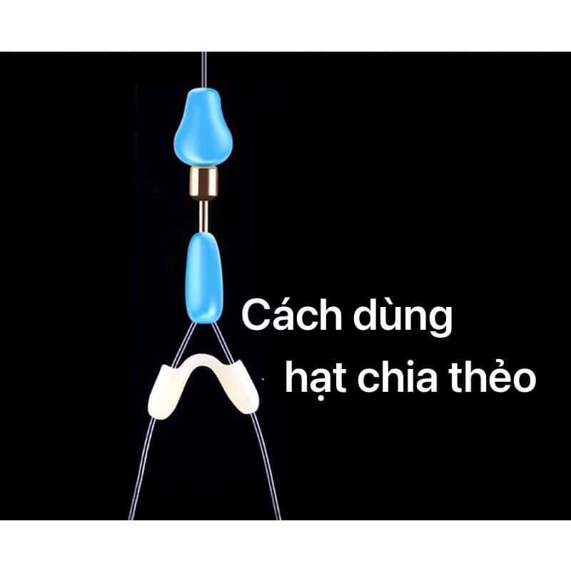 Hạt chia thẻo câu cá QL