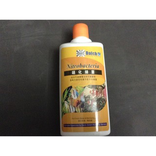 Men vi sinh dạng nước Dalch cho hồ cá cảnh