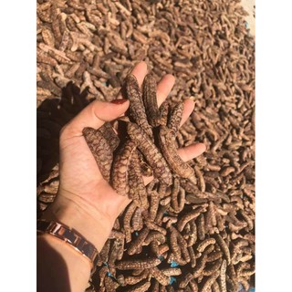 chuối hột rừng ngâm rượu -đặc sản Tây Bắc(1kg)