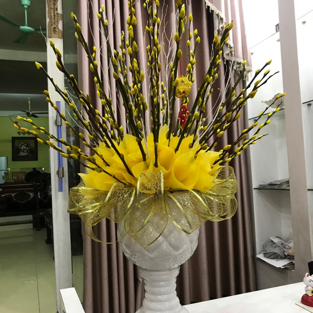 Chậu Nụ Tầm Xuân