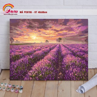 Tranh sơn dầu tự tô theo số Đồng hoa oải hương Lavender PC0785