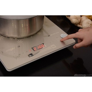 Bếp từ Kangaroo KG419i