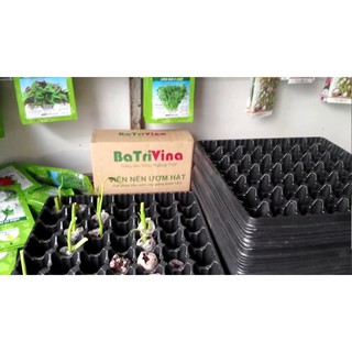 khay ươm hạt 50 lỗ