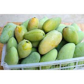 Xoài bao tử 1kg bán tại hà nội - giao hàng ifast - ifast.com.vn - cbig.vn - hệ thống tạp hóa cbig.vn