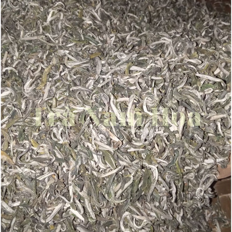 100g Trà Shan Tuyết Cổ Thụ 1 Tôm 1 Lá