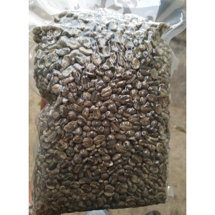 1Kg Cà Phê Typica Cầu Đất ( blend) Nhân Xanh Chưa Rang