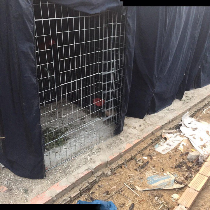 Mùng Vuông Che Mưa Cho Chuồng Gà - Có 2 Kích Thước