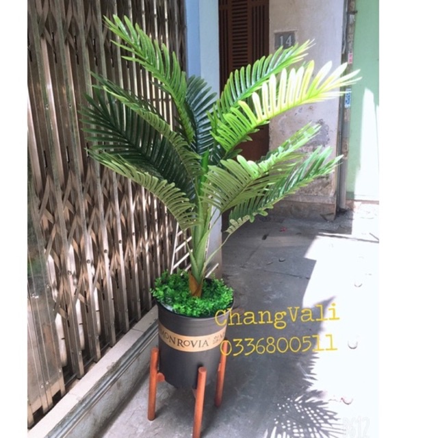 Cây dừa giả-Cao 1m -decor trang trí nội thất siêu xinh