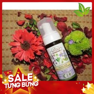Dung dịch vệ sinh phụ nữ dạng bọt mềm Lavender