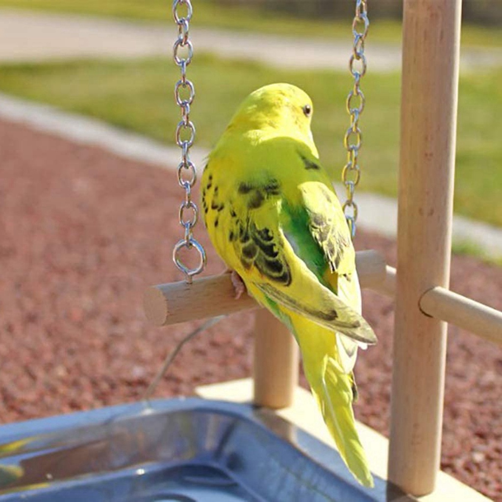 YIYU Sân chơi cầu thang có gắn máng ăn dành cho chim vẹt leo trèo vận động