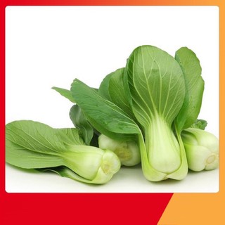 Hạt giống cải chíp xanh lùn 20g