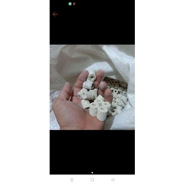 Sứ lọc viên 100g