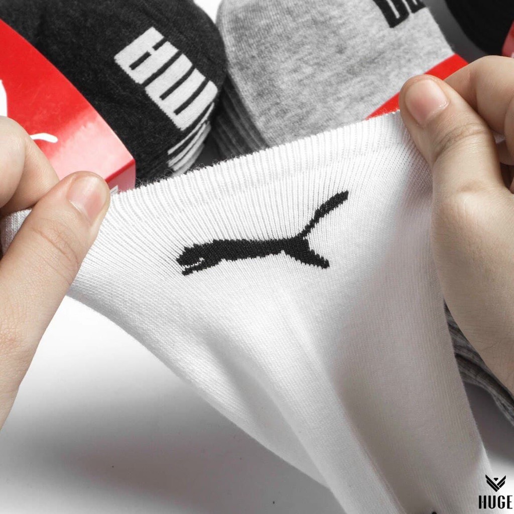 Sét 5 đôi tất  cổ ngắn siêu đẹp siêu Chất Cotton Chống Hôi Chân