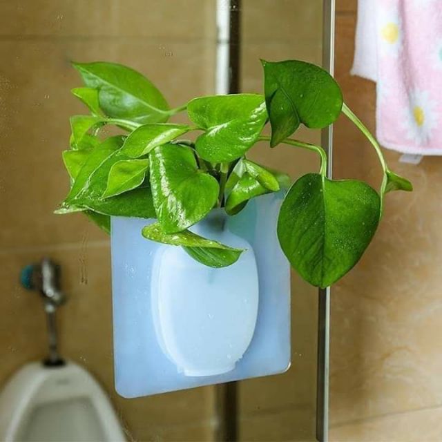 BÌNH HOA DÁN TƯỜNG TIỆN DỤNG