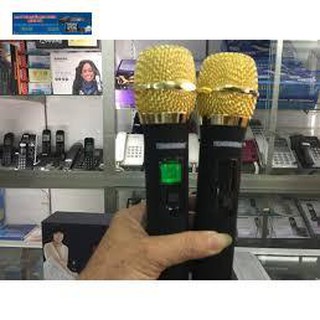 BỘ MICRO KHÔNG DÂY TEMEISHENG W48 2MICRO