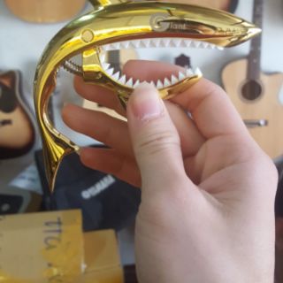 Capo cá mập - Giant - Shark capo