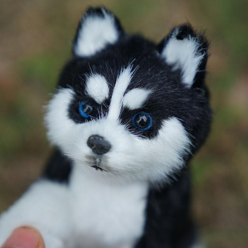 Đồ Chơi Mô Phỏng Chú Chó Husky Sống Động V1B2