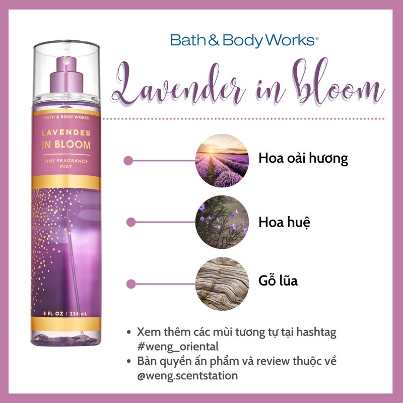 (MÙI HOT) Xịt thơm toàn thân Bath &amp; Body Works mùi Lavender In Bloom