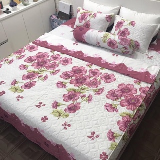 Set ga gối 5 món chăn ga gối trần