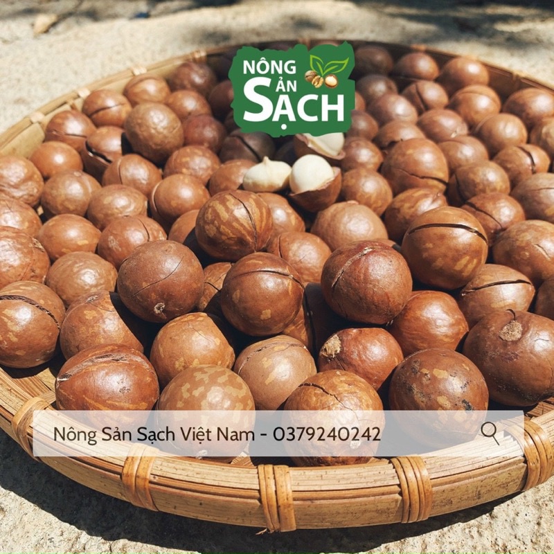 500g Hạt Macca Organic Sạch Di Linh Lâm Đồng nhà trồng size A (hạt mắc ca)