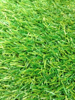Thảm cỏ nhân tạo cỏ cao 2cm
