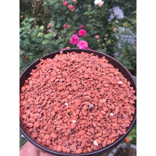 500g khoáng đất sét cho chim, vẹt, bồ câu, cu gáy