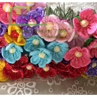 SỈ HOA DÂU TÂY