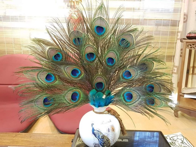 Lông công ~50cm HÀNG ĐẸP mắt 4-6cm | BigBuy360 - bigbuy360.vn