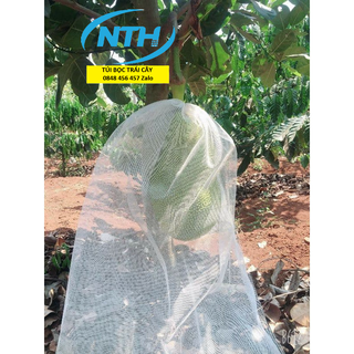 100 TÚI BAO, BỌC MÍT THÁI LƯỚI TỐT KÍCH THƯỚC 50*70