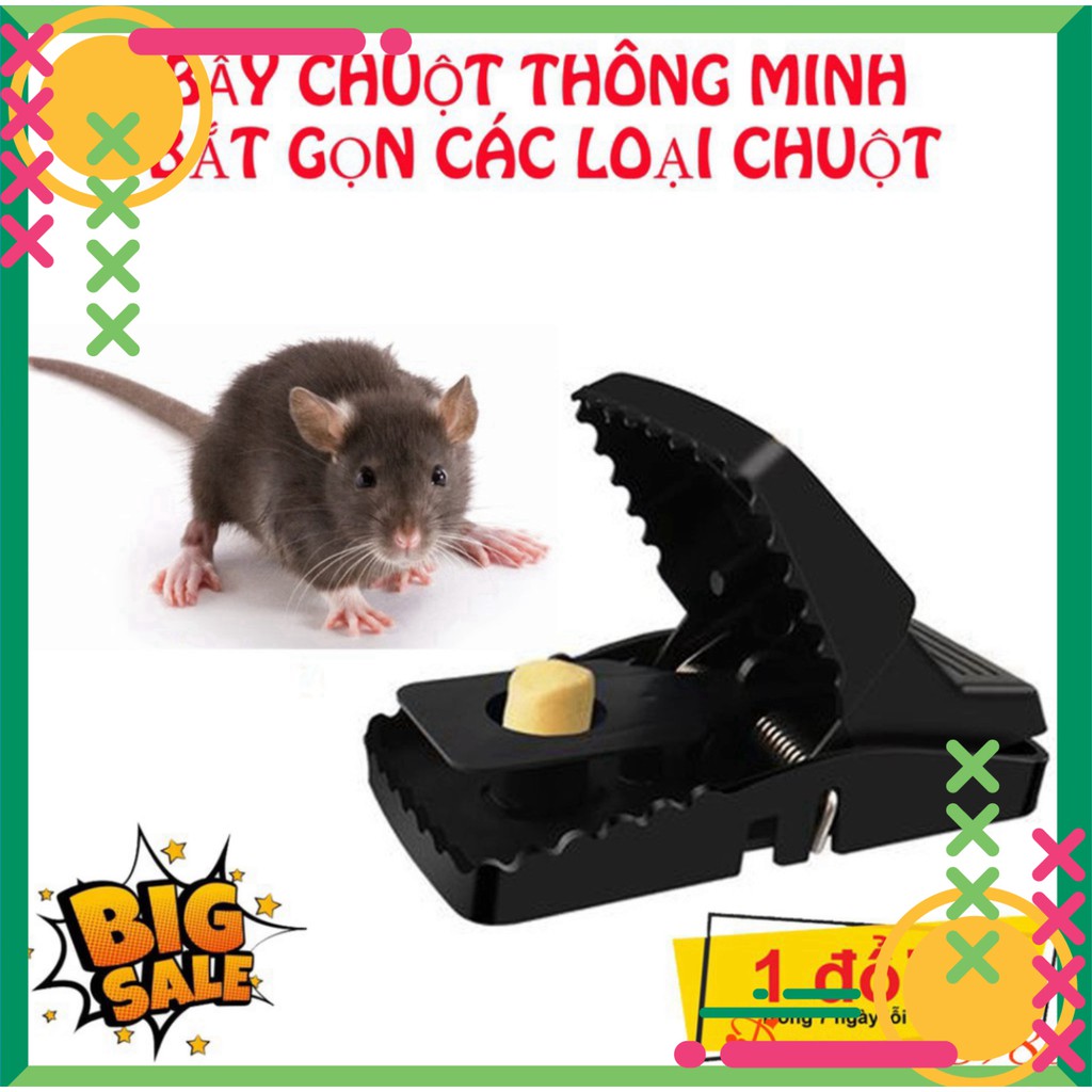 [FREE SHIP] 💥RẺ VÔ ĐỊCH💥 Bẫy chuột đa năng thông minh Tóm Gọn Các Loài Chuột💥SIÊU HOT💥