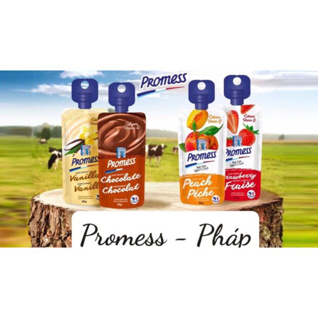 Sữa chua Promess lốc 3 bịch nhập từ Pháp | BigBuy360 - bigbuy360.vn
