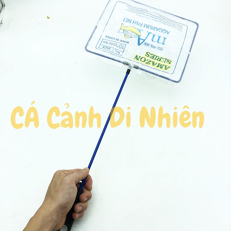 Vợt bắt cá thủy sinh AMAZON SERIES cán nhựa xanh SIZE 10 25 cm cho hồ cá